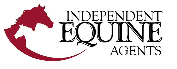 IEA Logo